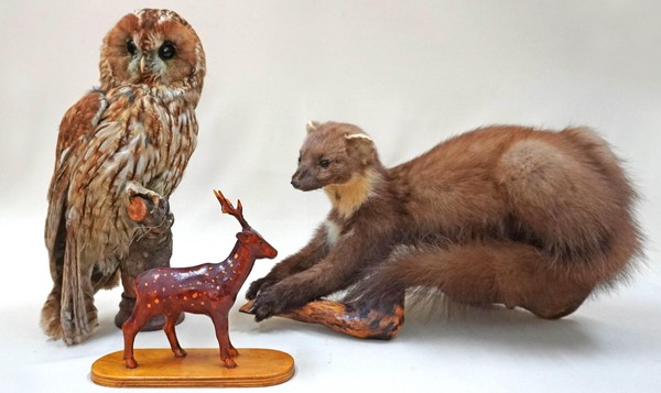 Выставка-рассказ «Кто в лесу живет? Что в лесу растет?»