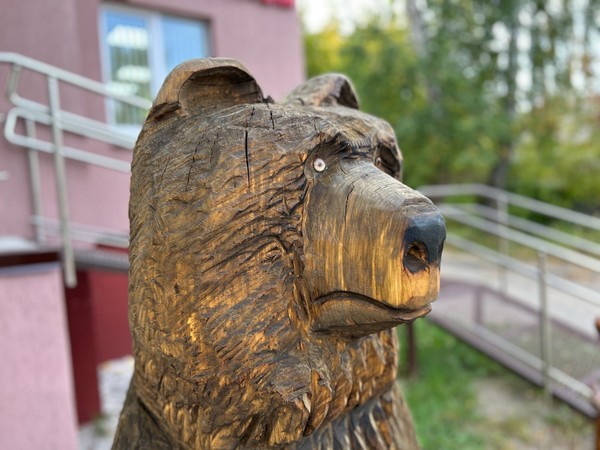 Экологический журнал «Все о медведях»