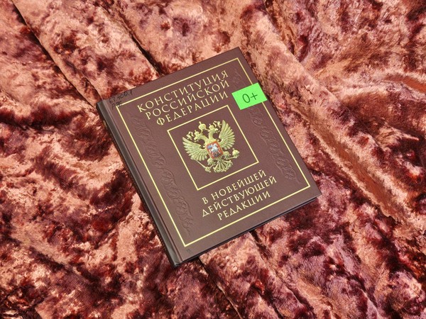 Тематическая встреча «Главный закон страны»