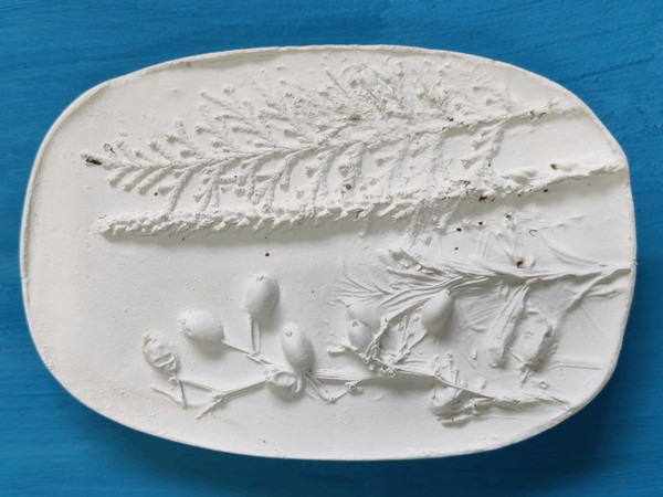 Мастер-класс «Природа России в гипсе»