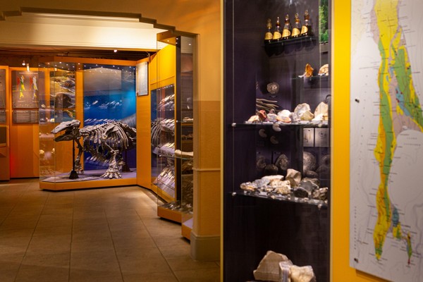 Программа «О мамонте: от суеверий до науки»