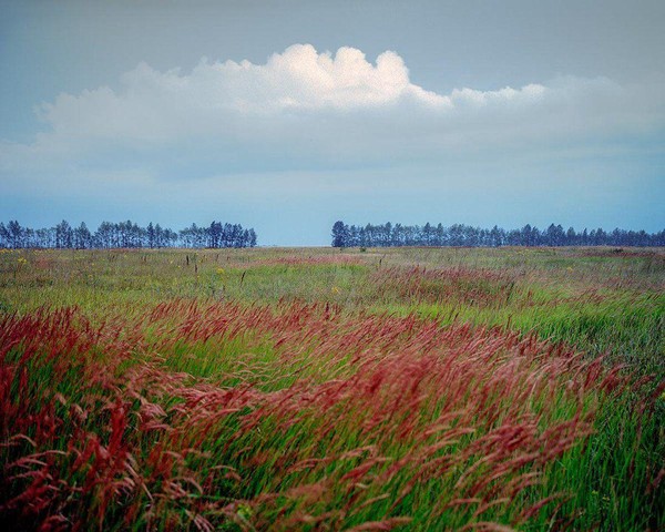 Лекция «Куликово поле: от исторической загадки к центру национальной идентичности»