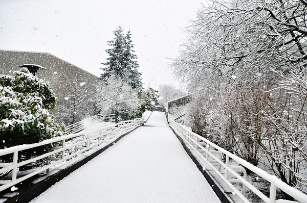 Рождество вокруг света