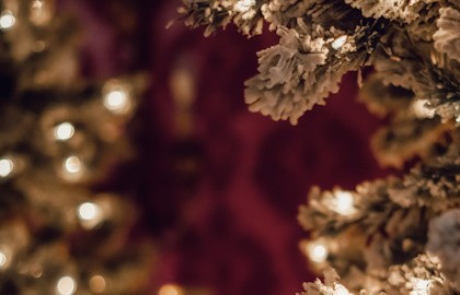 Рождество в Люблино: Орган при Свечах. Время Адвента