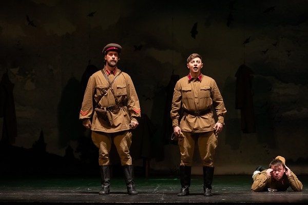 Бессмертники