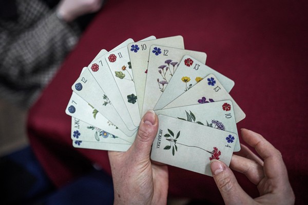 Игра «Ботаническая империя»