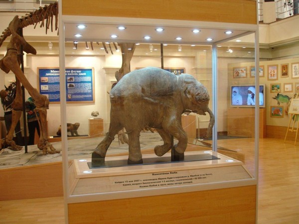 Выставка «Мамонтенок Люба. Сон длиною в 40000 зим»