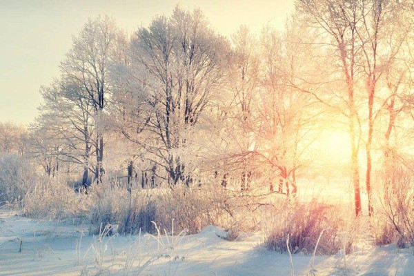 Творческий вечер «Иду по декабрю». Виталий и Виктория Харисовы