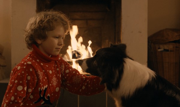 Показ детских и семейных фильмов «Моё собачье дело»