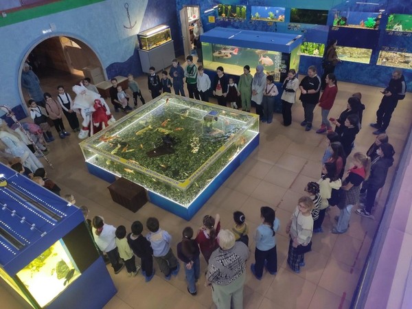 НОВОГОДНИЕ ПРИКЛЮЧЕНИЯ ДЕДА МОРОЗА И СНЕГУРОЧКИ