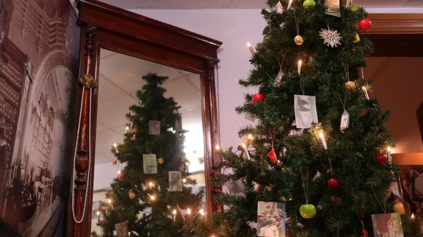 Новогодняя обзорная экскурсия