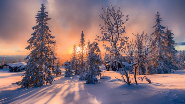 Концерт «Зимние истории»