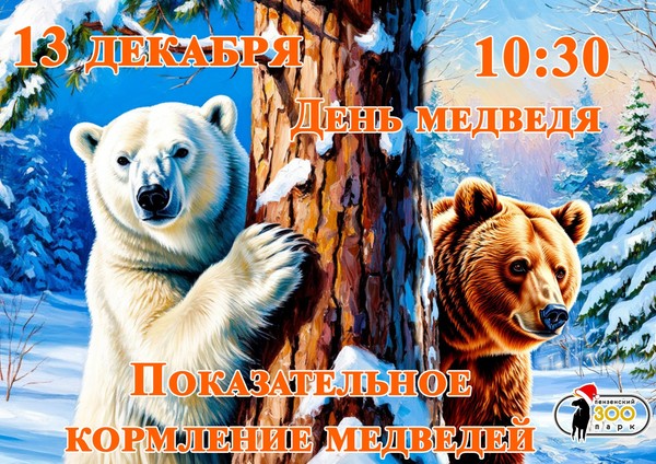 День медведя