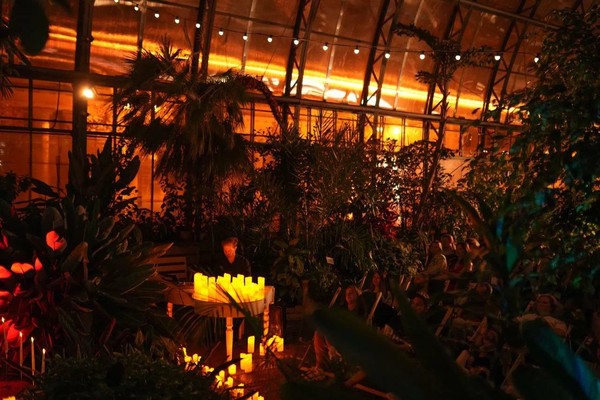 Магия свечей. Саундтреки о любви в оранжерее