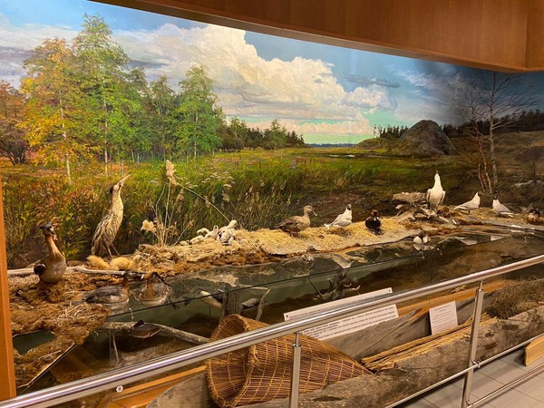 Экспозиции Главного корпуса Якутского государственного объединенного музея