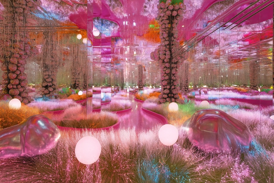 Открытие Дворца Впечатлений