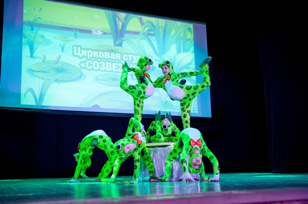 Шоу программа «Созвездие»