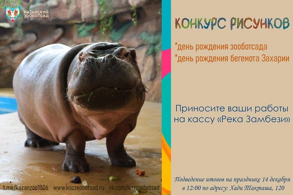 Конкурс рисунков