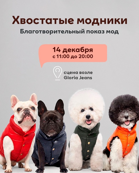 Благотворительный показ "Хвостатые модники"