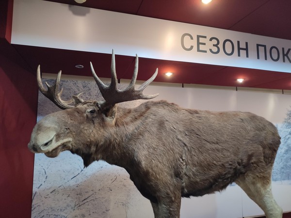 Выставка «Четыре сезона»