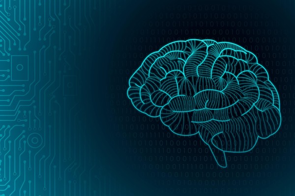 Библиобрейн