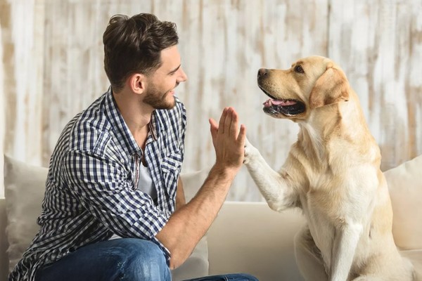 Благотворительный стендап-концерт