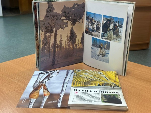 Предметно-иллюстративная выставка «Снежное волшебство»