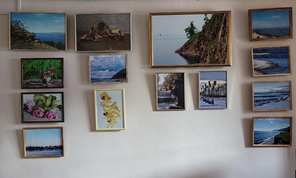 Выставка «Портрет Земли»