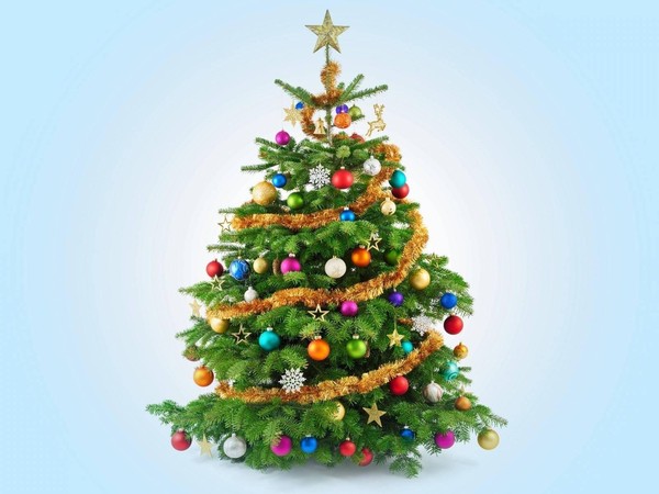 Программа «От лесной красавицы к праздничному символу: история новогодней ели в России»