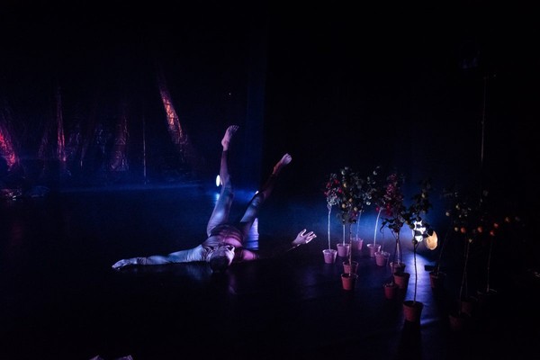 Яблоня на Марсе + Иррациональный