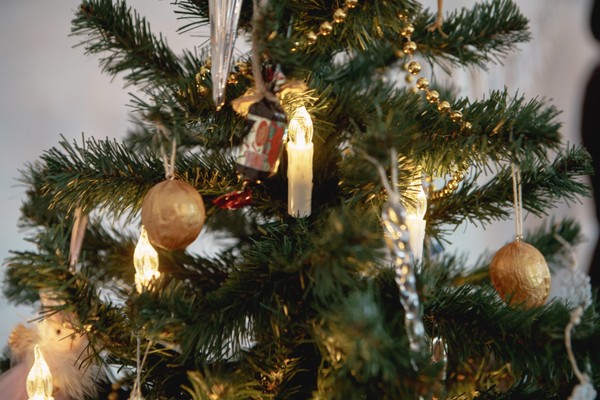 Новогодняя программа «Путешествие по Архангельску новогоднему»