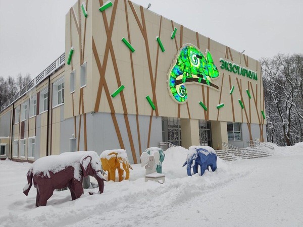 Новый год для групп школьников «Чары снежной королевы»