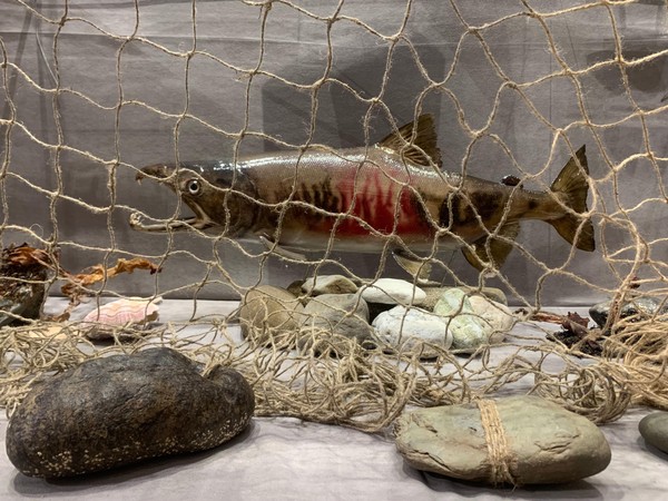 Экскурсия «Острова ихтиофагов»