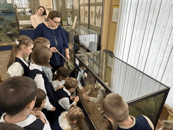 Музейный урок «Природа родного края»