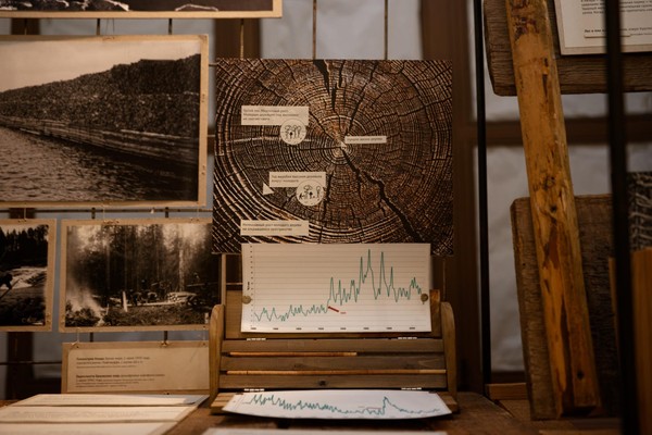 Выставка «Засушенному – верить»