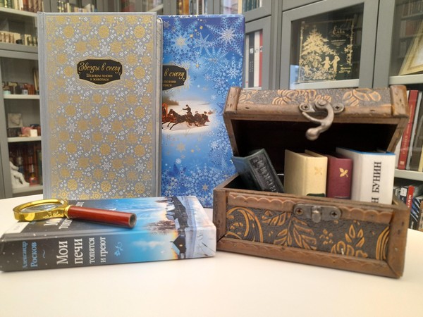 Литературная программа «В снежном царстве»