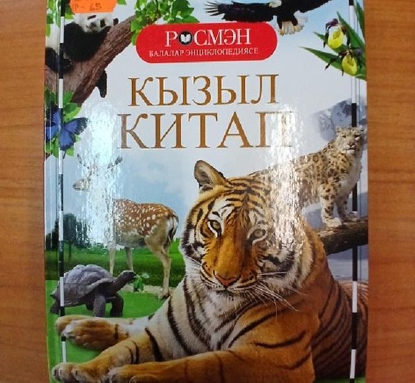 Экологический час «Такие разные – такие классные»