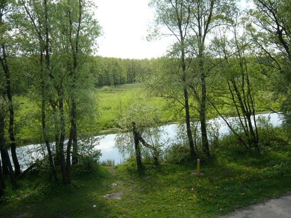 Тематическое занятие «Река Оскол и ее обитатели»