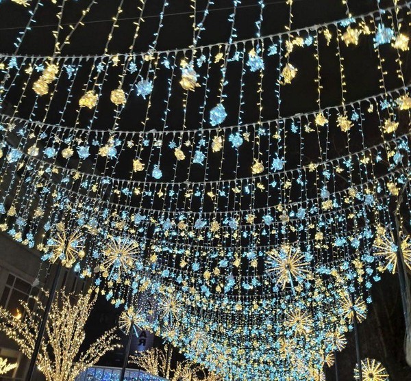 Лекция «Новый год – семейный праздник. Традиции и обычаи встречи Нового года»