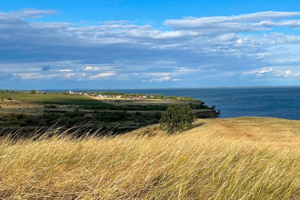Круглый стол и презентация альбома «Пространство Эвклида»