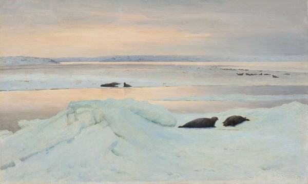 Арктика. Полюс цвета