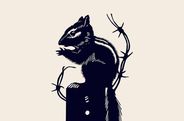 История экспоната «Сборник стихов Анатолия Жигулина «Летящие дни»