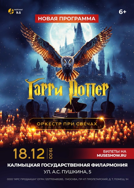 MUSE: Гарри Поттер г.Элиста