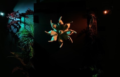 Со счастливым новым «Я»