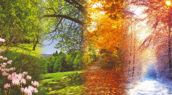 Концерт «12 месяцев с П.И.Чайковским»