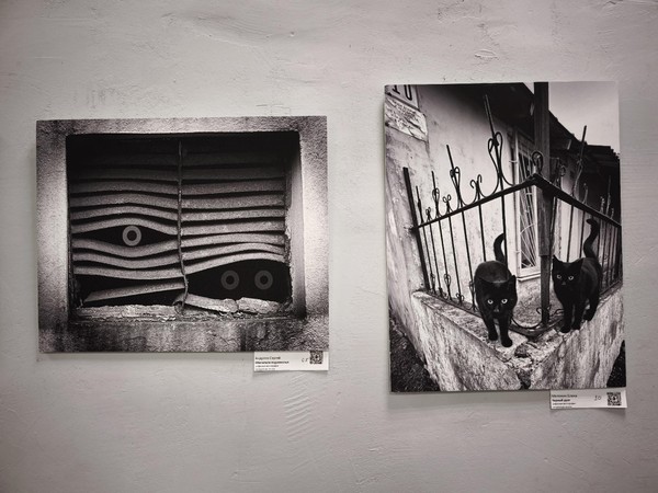 Выставка «Город — среда обитания»