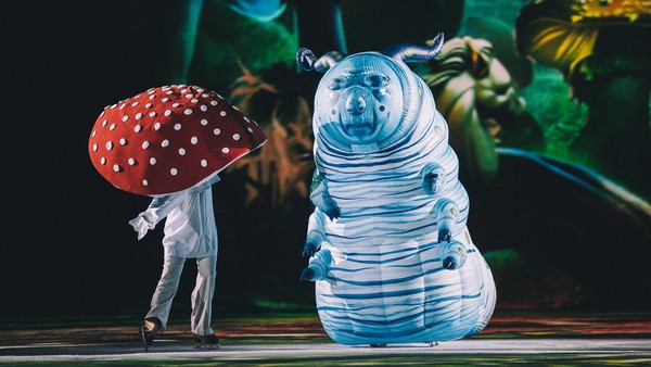 Алиса в Зазеркалье на льду