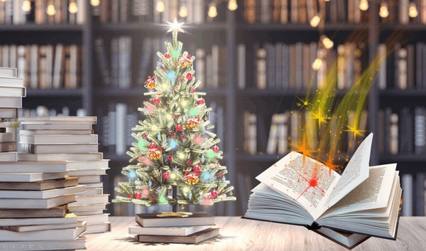 Программа «Книжное путешествие в новогоднюю ночь»