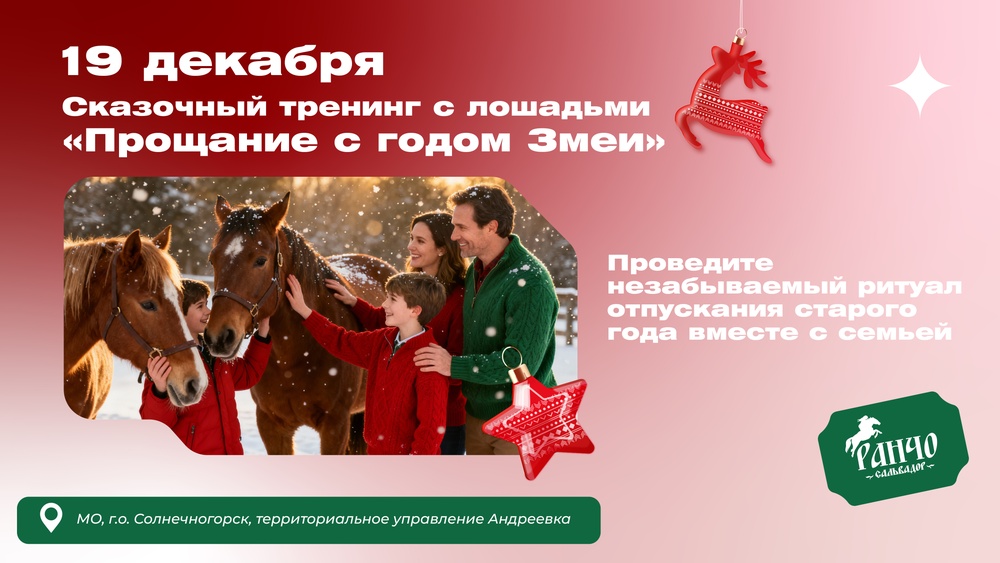 Новогодний тренинг с лошадьми "Прощание с годом Змеи"