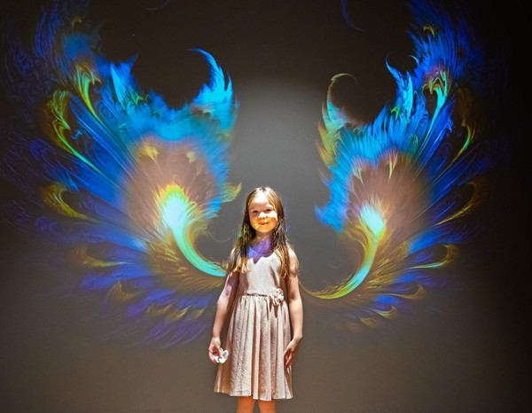 Программа «На крыльях Рождества»